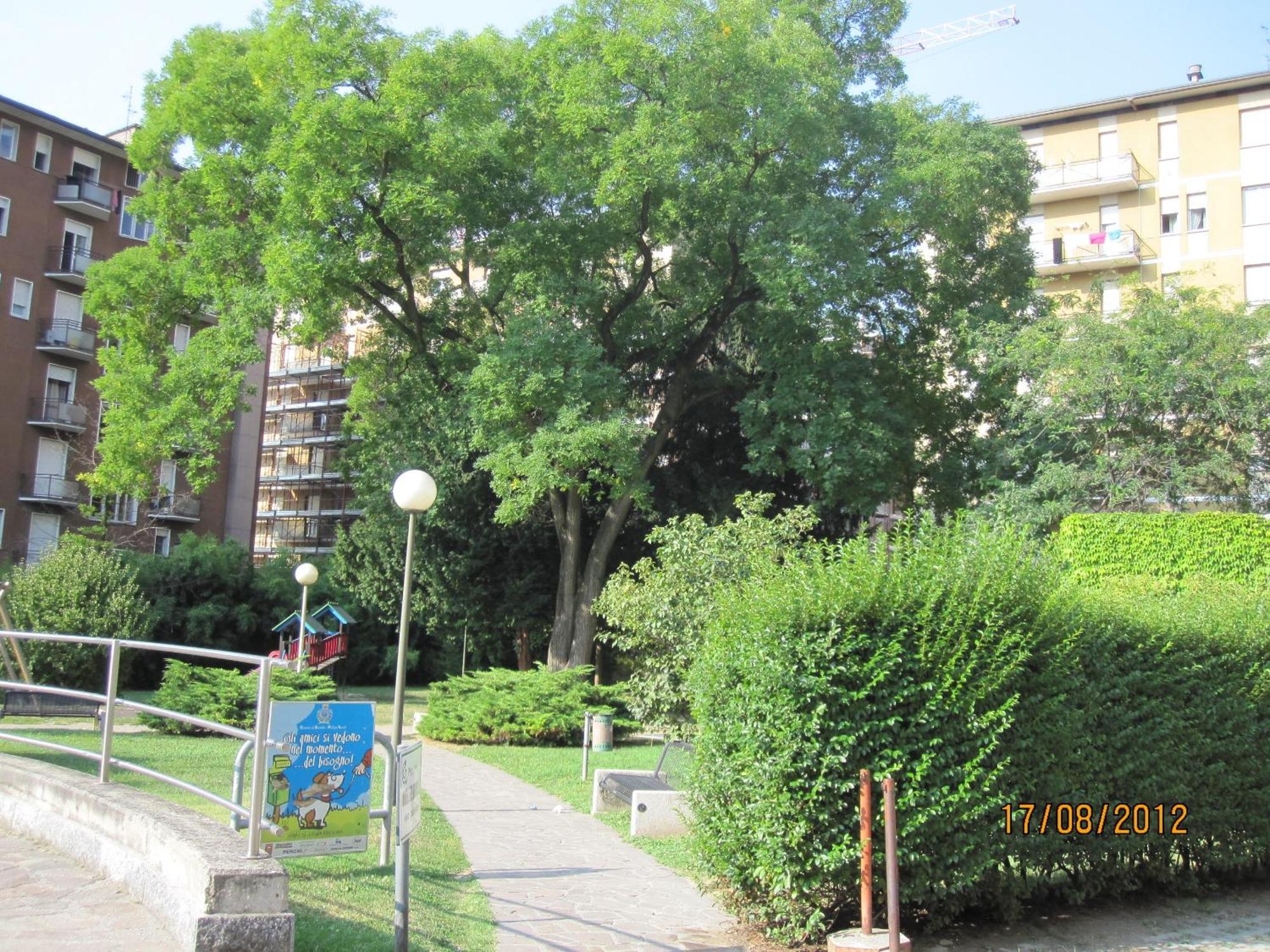 Piazzi House Aparthotel Sondrio Eksteriør bilde